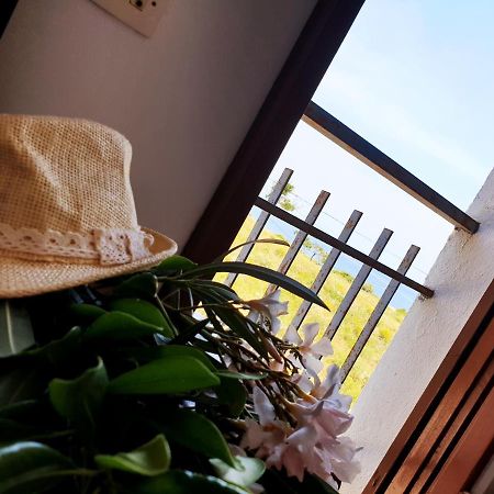 Xaloc, Apartament Amb Vistes A Mar M4 El Port De La Selva Εξωτερικό φωτογραφία